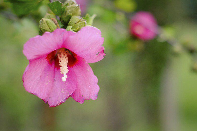 Picture This: finding your way as a photographer